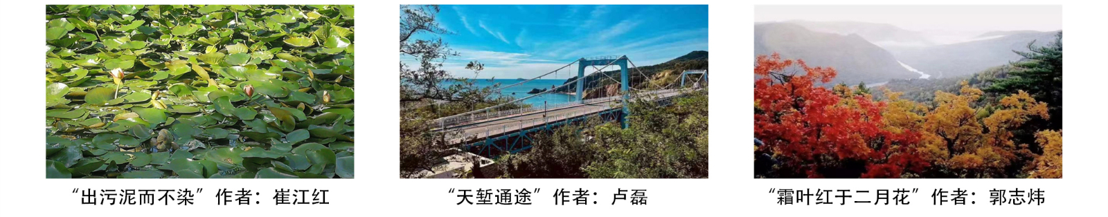 三等獎(jiǎng)-2.jpg